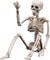 Halloween Skeleton Decorations Outdoor Indoor - 3FT Life-Size Poseable Skeleton, Realistic Spooky Full Body Skeleton with Movable Joints, Halloween Decor for Haunted House, Graveyard, Party